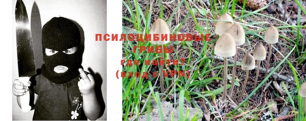 мескалин Абаза